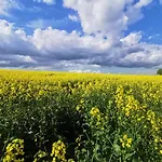 Przystan Ramotowo Lidzbark Warmiński