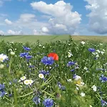 Przystan Ramotowo Dağ evi *