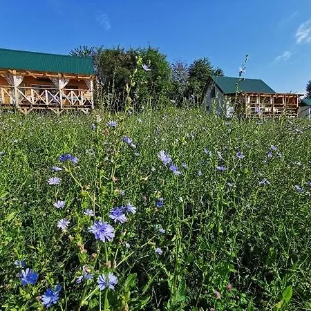 Przystan Ramotowo *