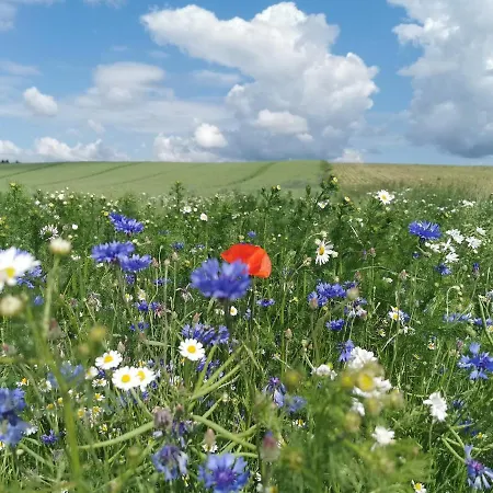 Przystan Ramotowo Domek alpejski *