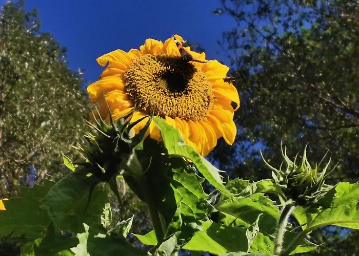 Chalet Przystan Ramotowo