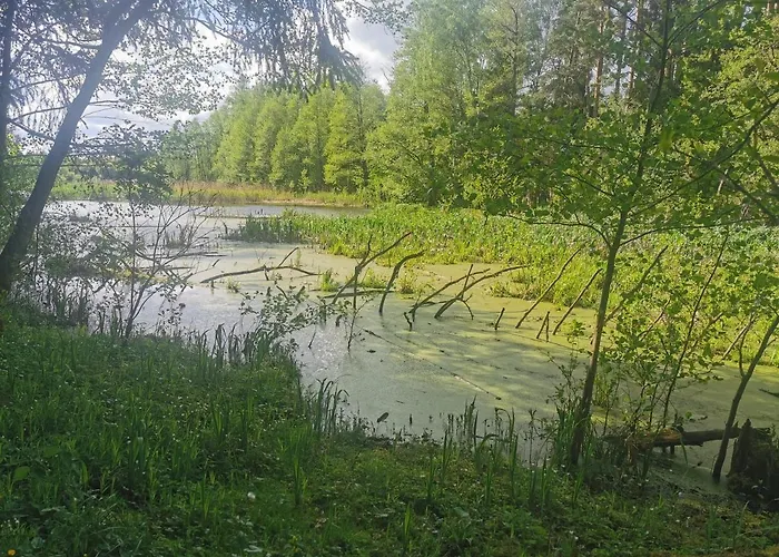 Przystan Ramotowo * Lidzbark Warmiński