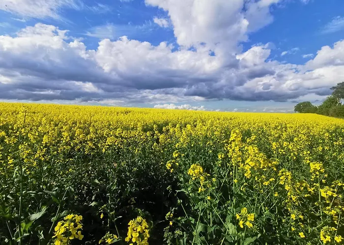 Przystan Ramotowo Lidzbark Warmiński