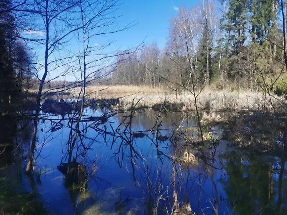 Przystan Ramotowo Chalet Lidzbark Warmiński