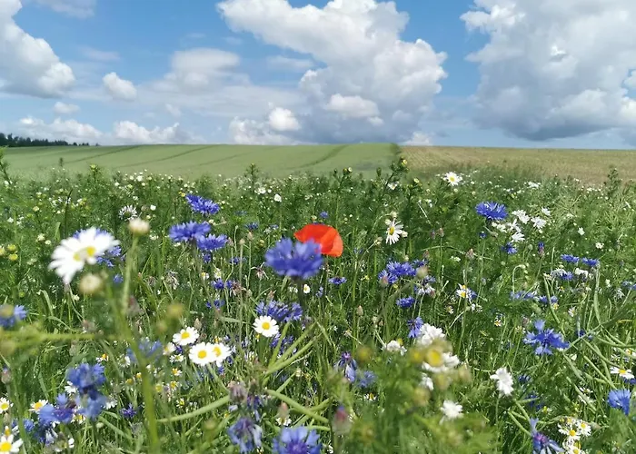 Przystan Ramotowo Chalet *